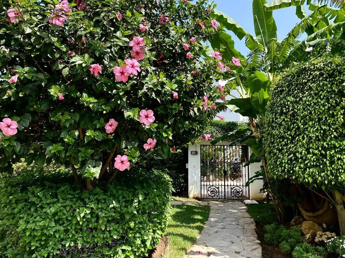 Sunny Studio Apartment Near To The Beach Rdr205 Marbella Španělsko